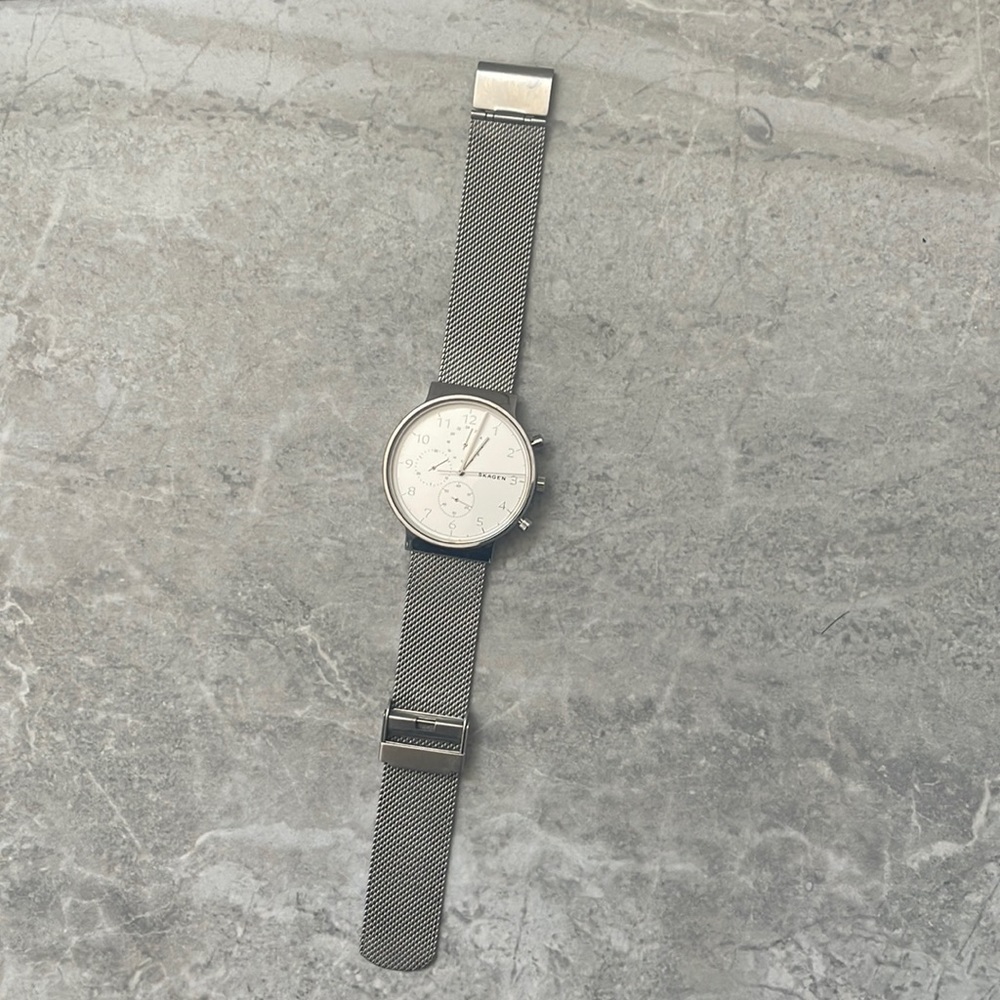 Skagen Watch